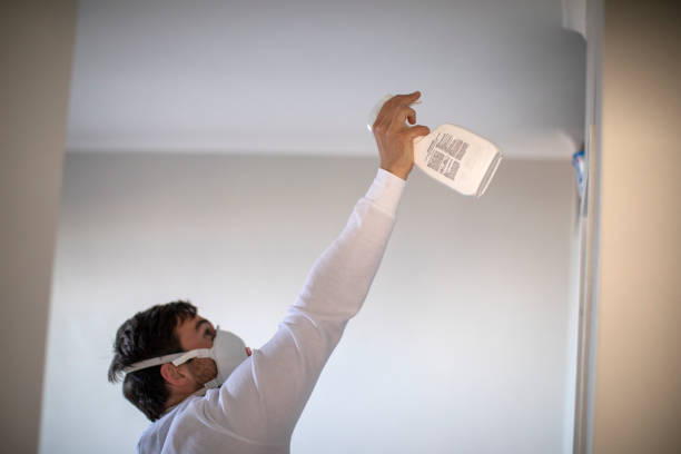 Best Crawl Space Mold Removal  in West Haverstraw, NY