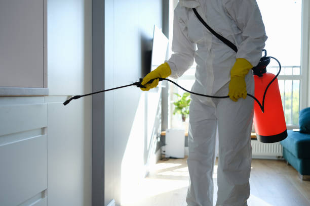 Best Professional Mold Removal  in West Haverstraw, NY